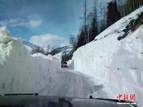 河南局部地区遭遇罕见暴雪，雪量超20毫米，带来哪些影响？