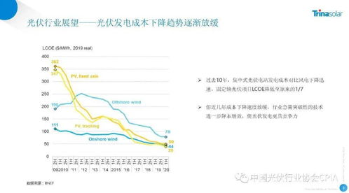 王钰栋的远见，2030年展望