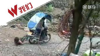 海南惨案，赤裸幼童遭父亲虐待被关车斗铁笼