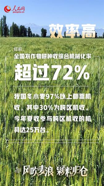 各地夏粮丰收有粮方